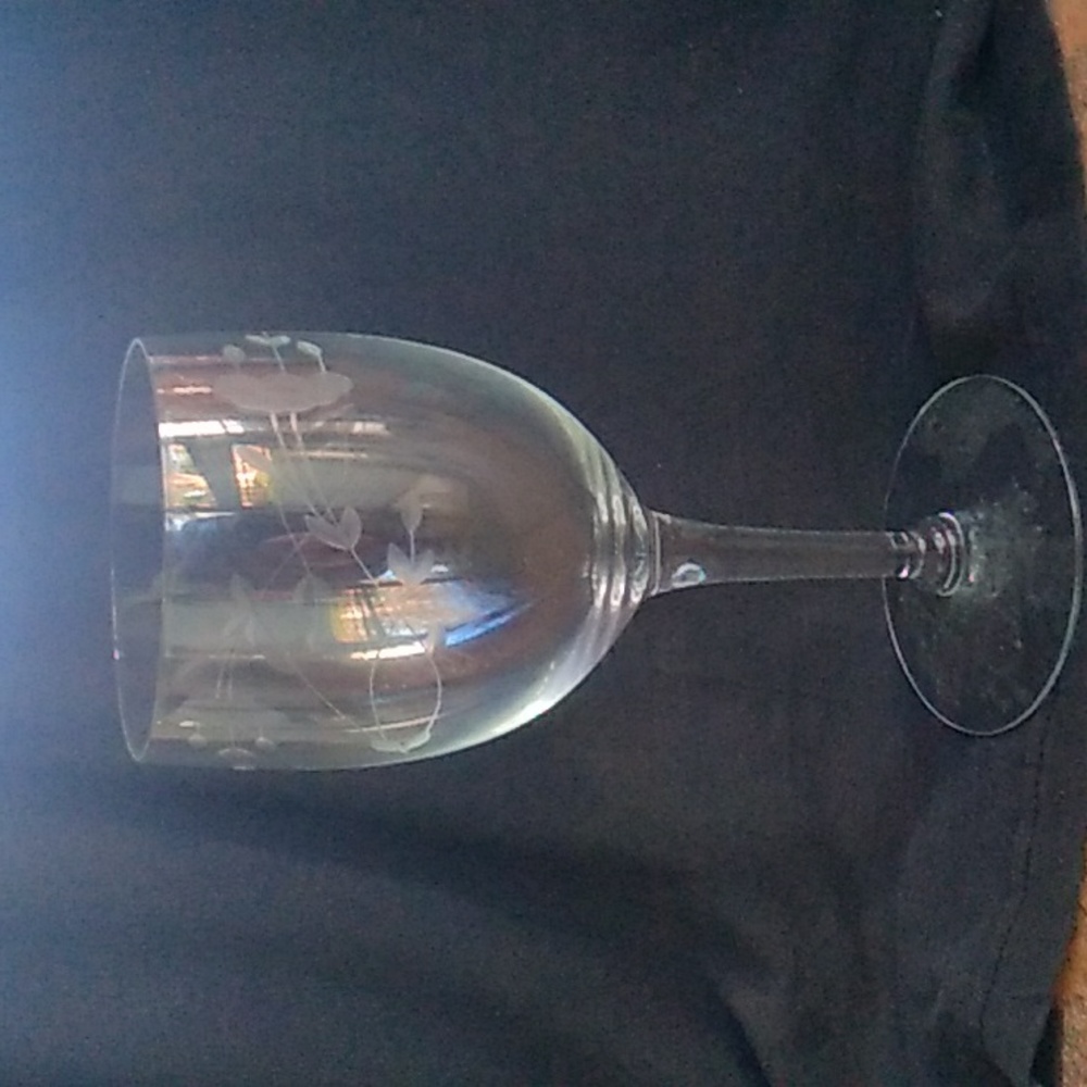Princess House Crystal Wine Glass